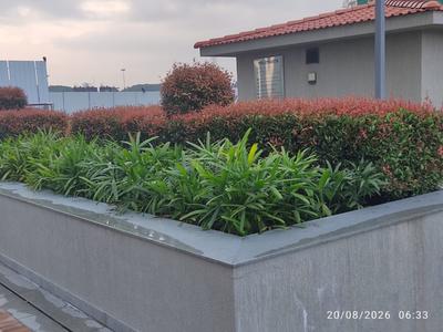 Balcony Image of 2317 Sq.ft 3 BHK Apartment / Flat for sale in Marina One Phase 1, Marine Drive Kochi for Rs. 38000000