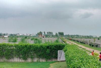Image of 3000 Sq.ft 5 BHK Farm House for sale in Aero Western Green, Mirpur Kachh Urf Kanigarhi, Greater Noida for Rs. 105000000