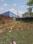Fairsky Plot View 2