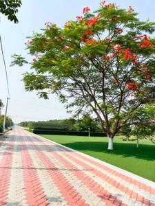 Image of 1650 Sq.ft Residential Plot / Land for sale in Kanyapur B, Asansol for Rs. 1815000