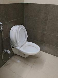 Common Bathroom Image of 570 Sq.ft 1 BHK Apartment / Flat for rent in Chembur Mumbai for Rs. 45000