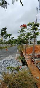 Residential Plot