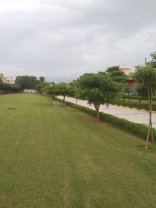 Image of 100 Sq.ft Residential Plot / Land for sale in Krish Seasons, Burera, Bhiwadi for Rs. 3200000