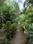 Sun Estates Morjim Villas Balcony 1
