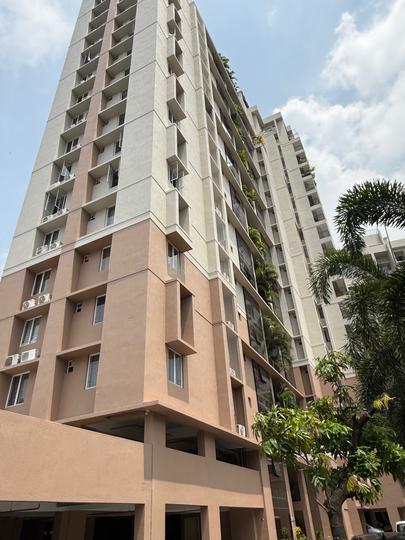 Veegaland Petunia And Begonia Main Image 1