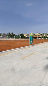 Image of 1000 Sq.ft Residential Plot / Land for sale in Trichy, Tiruchirappalli for Rs. 3500000