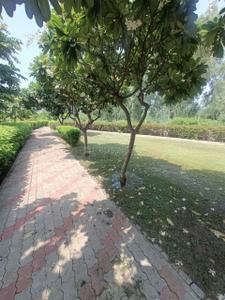 Janta Mega Residential Project Plot View 3