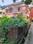 Bablatala Plot View 2