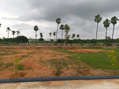Residential Plot