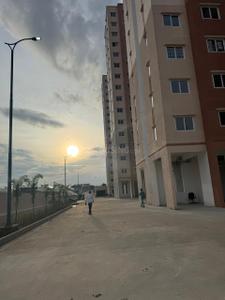 Image of 914 Sq.ft 3 BHK Apartment / Flat for rent in Shriram 107 Southeast, Attibele, Bengaluru for Rs. 20000