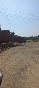Babatpur Plot View 3