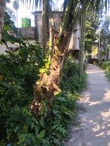 Image of 1082 Sq.ft Residential Plot / Land for sale in Uluberia, Howrah for Rs. 700000