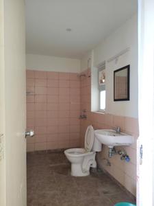 Common Bathroom Image of 849 Sq.ft 2 BHK Apartment / Flat for sale in Jaypee Aman, Aurangabad Noida for Rs. 6600000