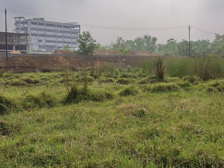 Chas Main Image 1