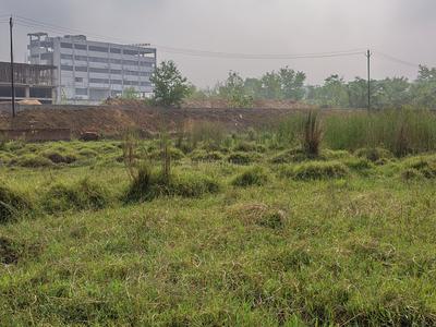 Chas Plot View 1