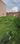 Defence Colony Plot View 2