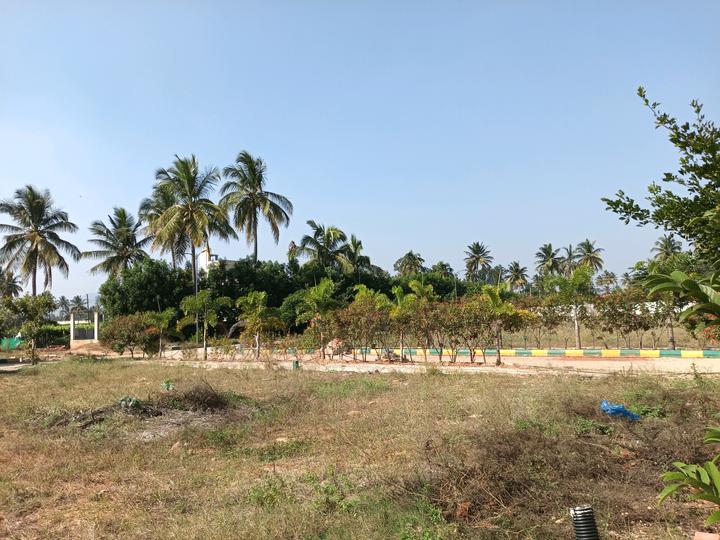 Srushti JP City Main Image 1