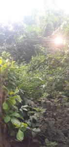 Image of 4356 Sq.ft Residential Plot / Land for sale in Arangamugal, Thiruvananthapuram for Rs. 500000