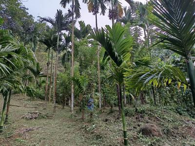 Image of 100000 Sq.ft Residential Plot / Land for sale in Koppa, Chikkamagaluru for Rs. 65000000