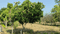 RS Puram Plot View 2