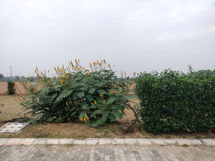 Adore Smart City 2 Main Image 1