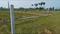 Orchard Green on Highway NH 139 Plot View 2