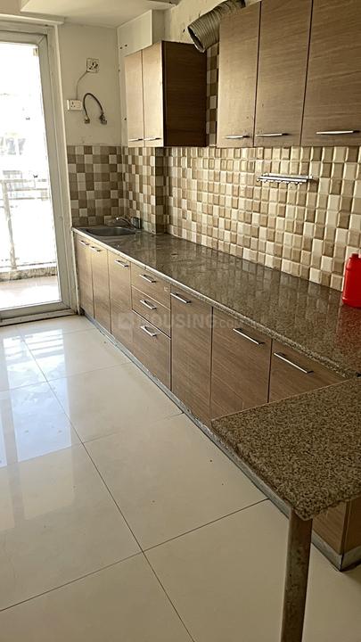 Tulip Violet Main Image 1