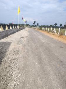 Annur Plot View 3