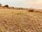 cityprop plot in punade Main Image 1