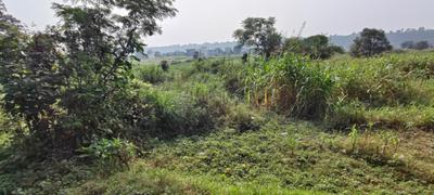 Image of 27000 Sq.ft Residential Plot / Land for sale in Jagat Pur Khadar, Dehradun for Rs. 15000000