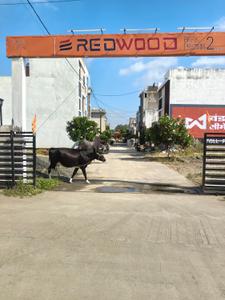 Image of 900 Sq.ft Residential Plot / Land for sale in Satpal Singh Chouhan Redwood Park Premium Plot, Rau, Indore for Rs. 3700000