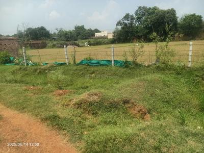 Neuri Plot View 2