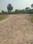 Metro Apartment Internal Roads 1