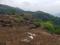 Khandala kunegaon Plot View 2