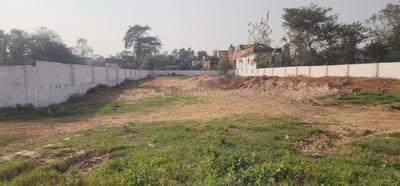 Bihta Plot View 3