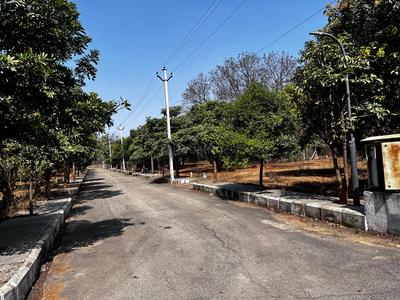 Residential Plot