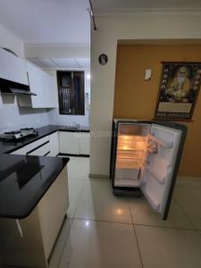 Kitchen Image of 903 Sq.ft 2 BHK Apartment / Flat for rent in Gillco Palms, Sector 115 Mohali for Rs. 25000