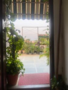 Balcony Image of 2500 Sq.ft 3 BHK Duplex for sale in Saket New Delhi for Rs. 40000000