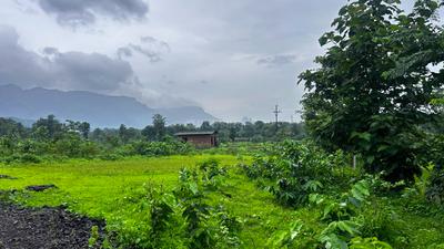 Image of 50094 Sq.ft Residential Plot / Land for sale in Murbad, Thane for Rs. 7130000