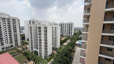 Image of 700 Sq.ft 3 BHK Apartment / Flat for rent in Landmark The Homes 81, Sector 81, Gurgaon for Rs. 29999