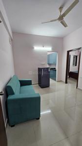 Hall Image of 710 Sq.ft 1 BHK Apartment / Flat for rent in Hitech City Hyderabad for Rs. 28000
