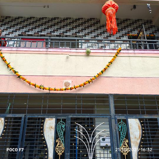 Fursungi Main Image 1