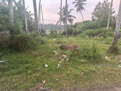 Image of 4356 Sq.ft Residential Plot / Land for sale in Chettupuzha, Thrissur for Rs. 5250000