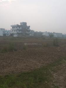 Image of 9520 Sq.ft Residential Plot / Land for sale in Bodh Gaya, Gaya for Rs. 3700000