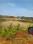 Patrapada Plot View 2