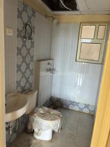 Bathroom Image of 1299 Sq.ft 3 BHK Apartment / Flat for rent in Terra Castle, Jhundpuri Bhiwadi for Rs. 15000