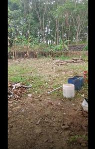 Image of 2831 Sq.ft Residential Plot / Land for sale in Thiruvaniyoor, Kochi for Rs. 1690000