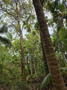 Image of 4655 Sq.ft Residential Plot / Land for sale in Minalur, Thrissur for Rs. 125000