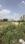 Sector 116 Plot View 2