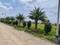 Shadnagar Main Image 1